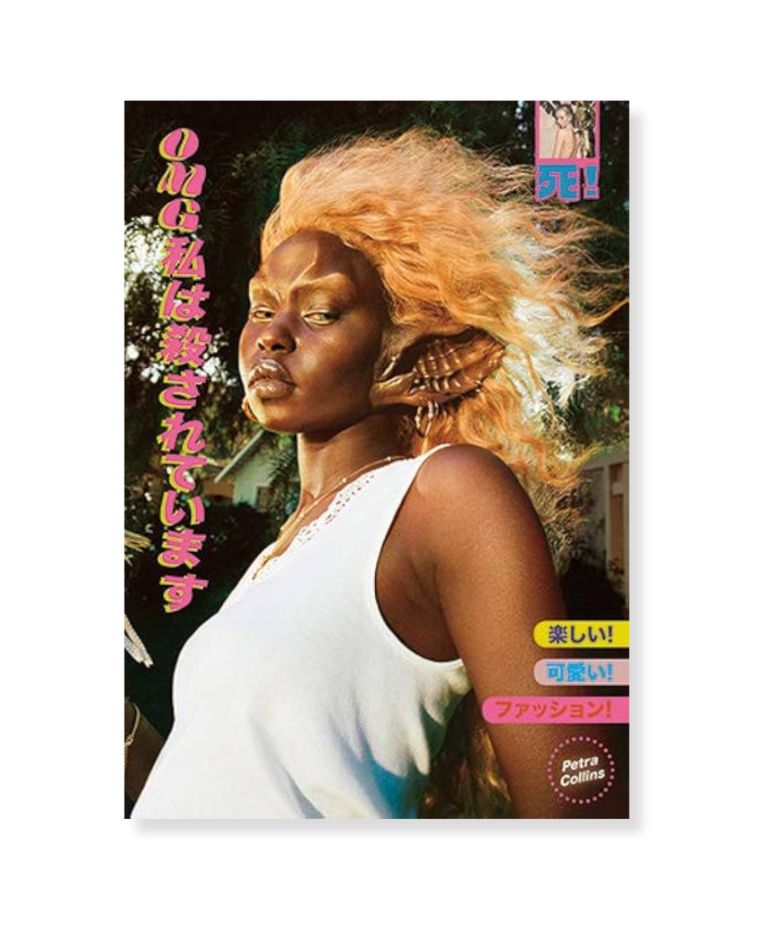 OMG! I'm Being Killed by Petra Collins