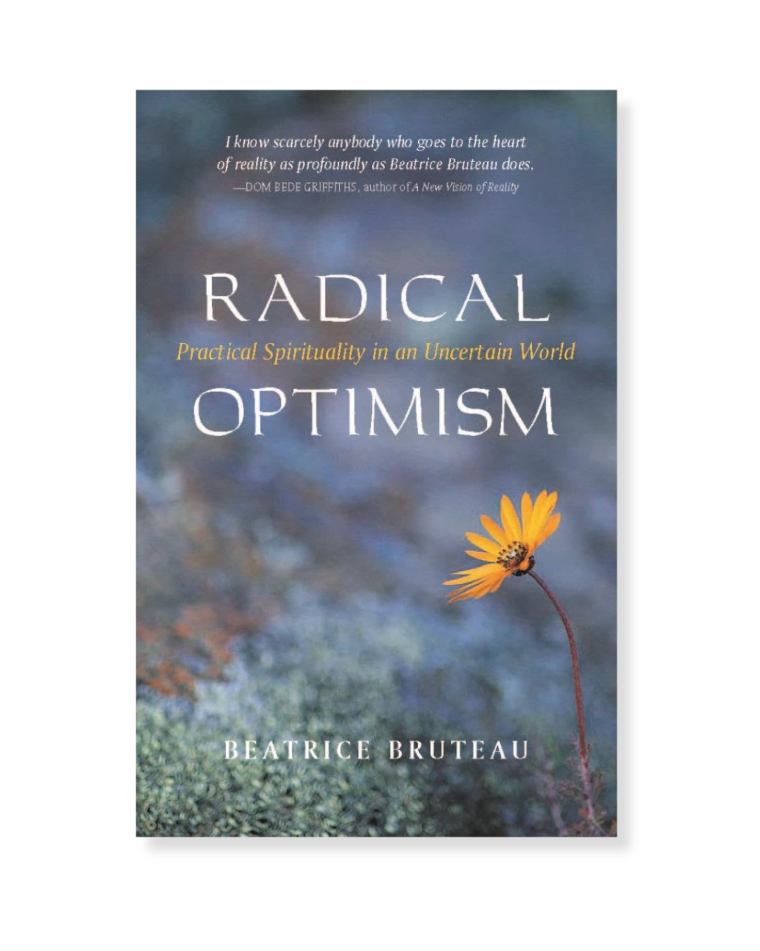 Radical Optimism by Beatrice Bruteau