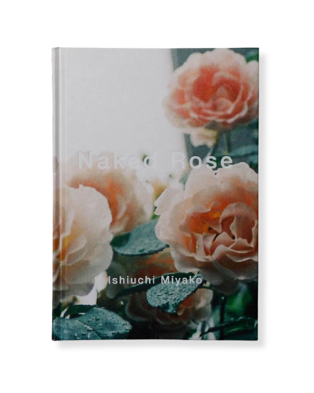 Naked Rose by Ishiuchi Miyako