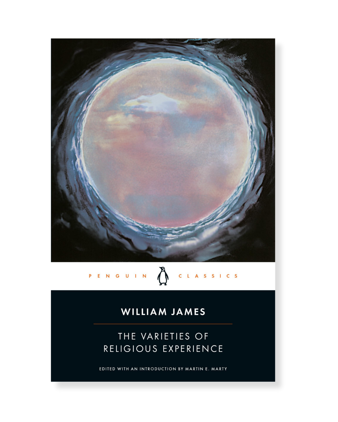 The Varieties of Religious Experience by William James