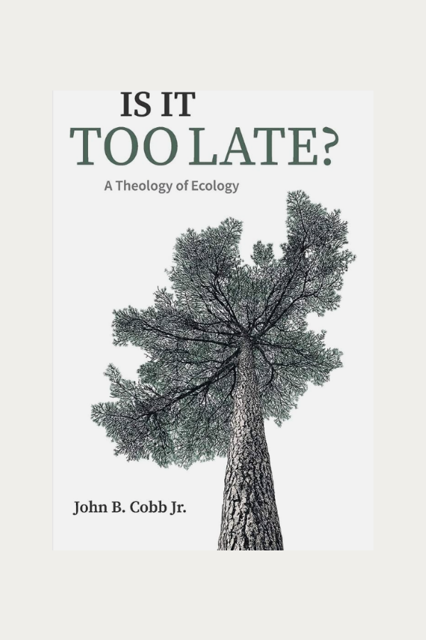 Is It Too Late? by John Cobb