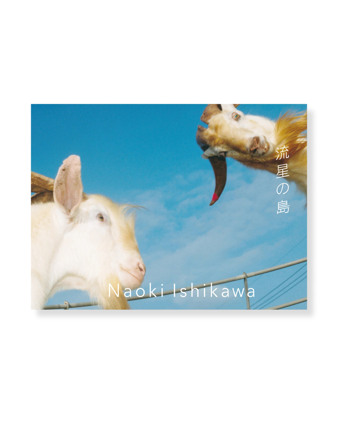 Ryusei no Shima Naoki Ishikawa