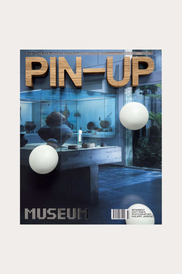 PIN-UP issue #37