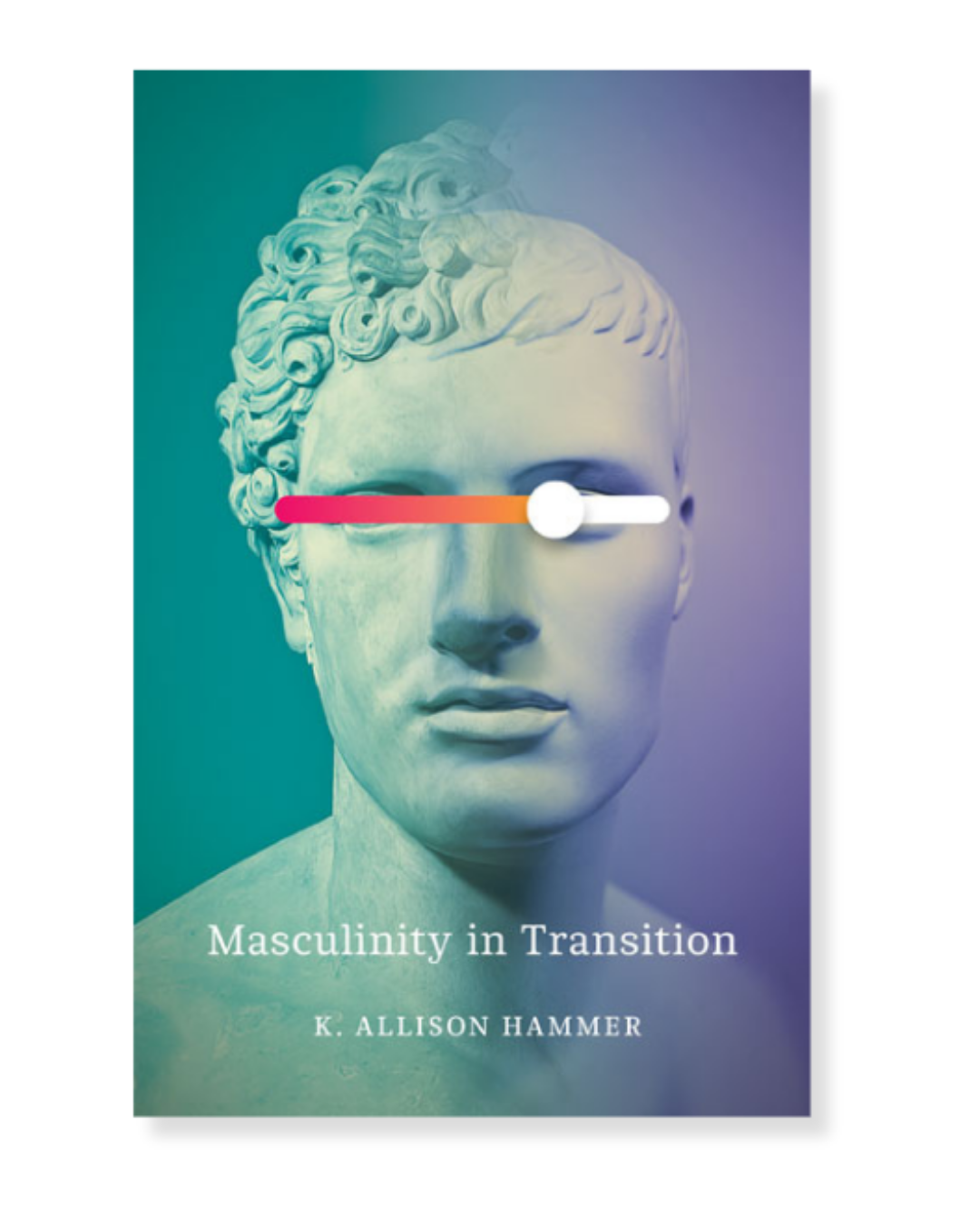 Masculinity In Transition by K. Allison Hammer