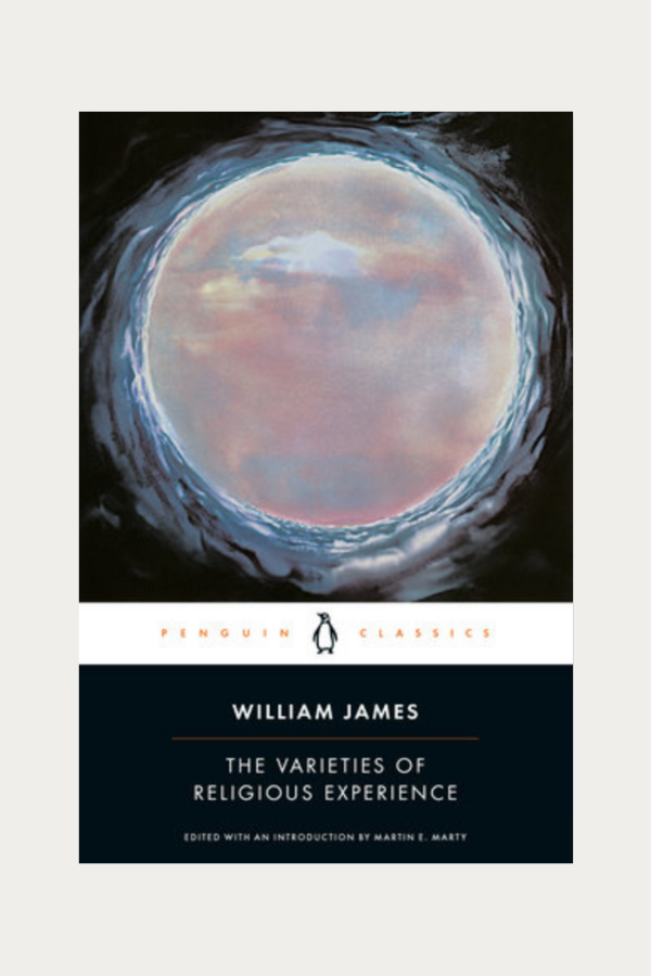 The Varieties of Religious Experience by William James