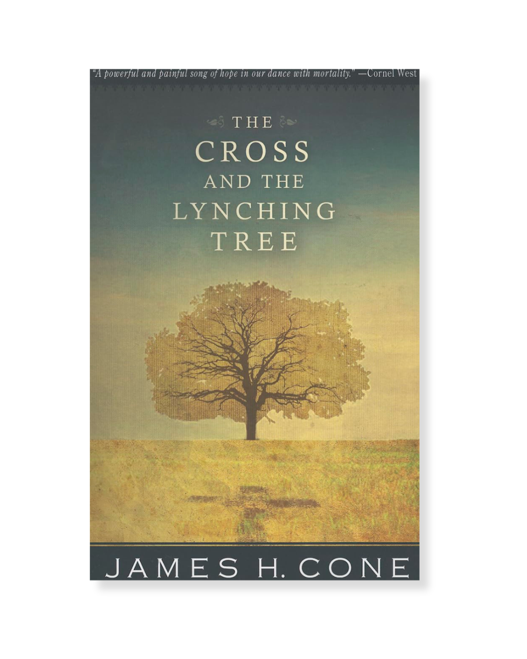 The Cross and the Lynching Tree by James Cone