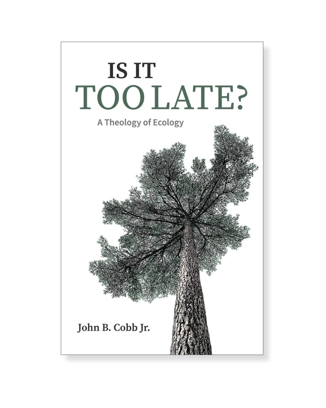 Is It Too Late? by John Cobb