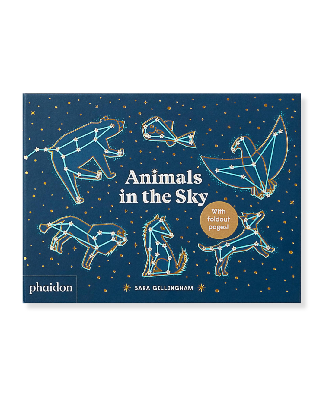 Animals in the Sky by Sara Gillingham
